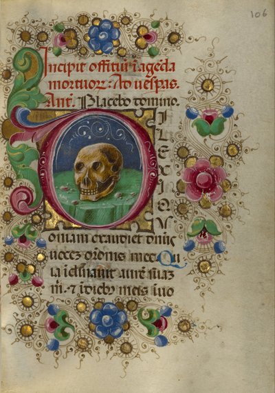 A Skull in a Rocky Field by Taddeo Crivelli